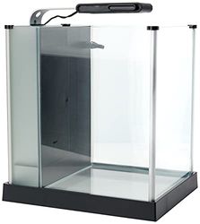 Fluval Spec 3 Nano Aquarium, met 10 liter inhoud, in zwart