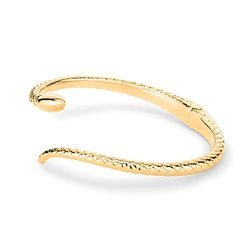 Apple of Eden AJ-0022-B-58 Bracelet jonc, or (placage ionique)