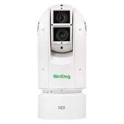 BirdDog Eyes A300 PTZ Camera in white IP67 Extreme Weatherproof Full NDI w/Sony Sensor & SDI