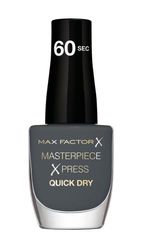 MASTERPIECE XPRESS quick dry 810cashmere knit 8 ml
