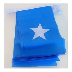 AZ FLAG Guirlande 12 mètres 20 Drapeaux Somalie 45x30 cm - Drapeau somalien 30 x 45 cm