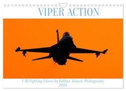 VIPER ACTION - F-16 FIGHTING FALCON (Wandkalender 2025 DIN A4 quer), CALVENDO Monatskalender: Einer der besten Kampflugzeuge der letzten 50 Jahre