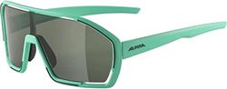 ALPINA Unisex - Vuxna, BONFIRE Sportglasögon, turquoise matt, One Size