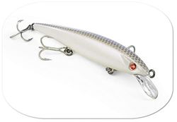 Seaspin EJA 100 artificiale per la pesca in mare, GLWR, 100 mm