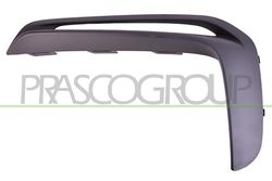 Prasco - PR5081224 – Porsche – Cayman – Boxster GT4 (982 – 718) – Mod. 04/19 – – Modanatura sinistra – Asta anteriore – nero grana