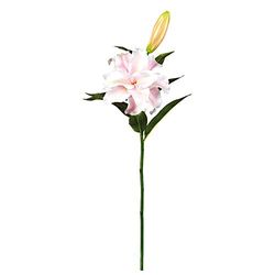 EUROCINSA Ref.13250C21 LILY PINK, Box of 6pcs, 60cm