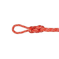 Mammut 9.5 Gym Classic Rope | Klimuitrusting, robuust en duurzaam, 40 m, framboos-wit