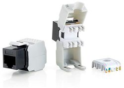 Equip Professional - Input A Modular - RJ-45 (769211) (Pack of 8)