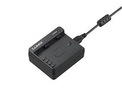 PANASONIC DMW-BTC13E, DMW-BLF19, Negro, Cargador DE BATERÍAS para Interior