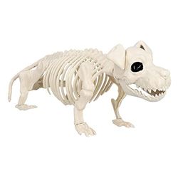 Boland 72416 - Esqueleto para perro, tamaño 52 cm, boca móvil, perro, perro, perro, perro, perro, etc