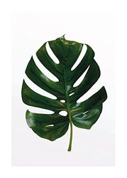 Monstera Leaf - Grootte: 50 x 70 cm - Komar, muurschildering, posters, kunstdruk (zonder lijst), PURE Boutique