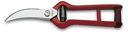 3 Claveles 3253 - Tesoura vintage para alho forjada a quente 20 cm