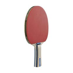 Dunlop Tabletennisbat Rage