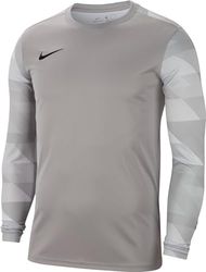 Nike Park IV Goalie, Portiere Maglia Manica Lunga Uomo, Pewter Grigio/Bianco/Nero, 2XL