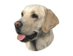 Nobby Autocollant Motif Labrador