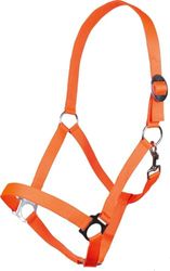 HKM 544144 Licol Stars Economy Softice