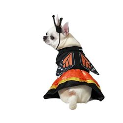 BigBuy Pets Disfraz para Perro Talla M Mariposa