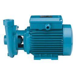 VITRIFRIGO NV-088, Bomba Agua DE Marina 230V/1ph/50Hz-CALPEDA B-CM20E 1/2HP Unisex-Adult, Multicolor, Standard
