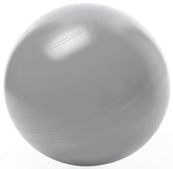TOGU Gymnastiekbal, zitbal, ABS, barstbestendig, 45 cm, zilver