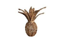 PIÑA DE CORTEZA DE BANANA