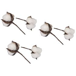 Rayher 55808000 Six Cotton Stems with Natural Cotton Flowers for Wreath Making, Crafting and Home Décor, 10cm