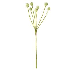 EUROCINSA Ref.46007C02 Billy Buttons con 7 Flores Marfil, Caja de 24uds, 61cm