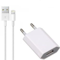 Set Lader + usb kabel - bliksem BULK