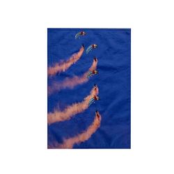 3dRose Rnzaf Sky Diving, Warbirds Over Wanaka, New Zealand, Au02 Dwa7120, David Wall Towel, White, 15 x 22-Inch