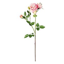 EUROCINSA Ref.47407C21 PINK LADY, Box of 6pcs, 82cm