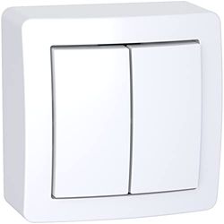 Schneider Electric ALB62056P - Alrea, doble ida y vuelta con marco sobresaliente, blanco polar