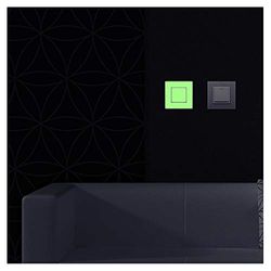 Pegatinas adhesivas fosforescentes | Pegatina de interruptor – Decoración de pared fluorescente | 8x 8 cm