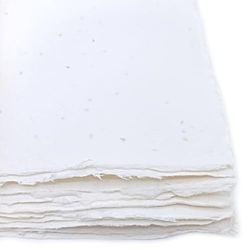 Fogli A4 in Carta Piantabile Fatta a Mano, con Bordi irregolari, 21x29,7cm, 300 g/m2, Confezione da 10, per inviti, biglietti, partecipazioni, Made in Italy (Con Semi di Lavanda)