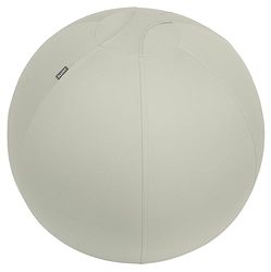 Leitz Ergo aktiv sittboll, ergonomiskt alternativ till skrivbordsstol, 65 cm diameter, inkluderar bollöverdrag i tyg, handluftpump och 2 x pluggar, Ergo-serien, ljusgrå, 65420085