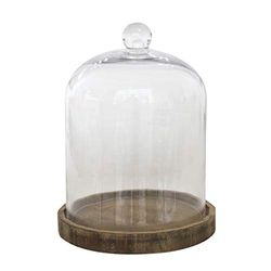 Stonebriar 8.5 Inch Clear Glass Dome Cloche with Rustic Wooden Base, Brown