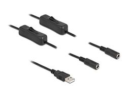 Delock Kabel USB Type-A-kontakt till 2 x DC 5,5 x 2,1 mm uttag med omkopplare 1 m