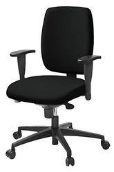 Lanab Group Chaise de Bureau Ergonomique, Noir, Normal