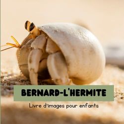 Bernard-l'hermite: Livre d'images pour enfants