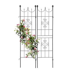 Relaxdays Grigliati per Rampicanti, Set da 2, HxL 180 x 50 cm, Supporti in Metallo per Piante Tralicci a Incastro, Verde, Ferro
