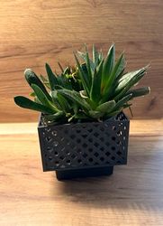 Kimmel Lot de 2 Cache-Pots carrés - 13 cm - Gris - Pot à orchidée - Pot de Fleurs décoratif