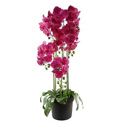 Realistic Artificial Orchid Plants Fully Potted