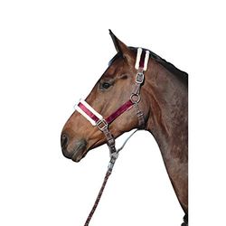 CM Velluto Licol grau/weinbeere One Size
