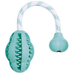 Trixie Natural Rubber Denta Fun Mintfresh Jumper on a Rope for Dog