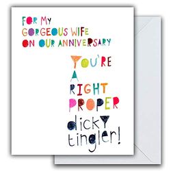 Emotional Rescue ZFW9383 - Tarjeta de aniversario para esposa, tarjeta de aniversario humorística para esposa, aniversario de esposa, tarjeta de felicitación, multicolor, 154 mm x 184 mm