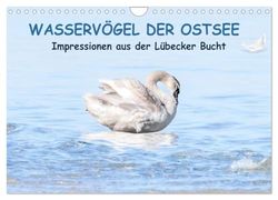 Wasservögel der Ostsee - Impressionen aus der Lübecker Bucht (Wandkalender 2026 DIN A4 quer), CALVENDO Monatskalender: Maritime Aufnahmen von Wasservögeln.