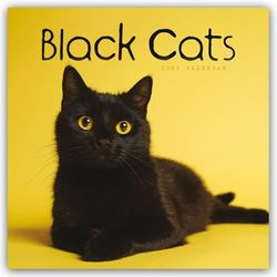 Black Cats - Schwarze Katzen 2025 - Wand-Kalender: Original Carousel-Kalender [Mehrsprachig] [Kalender]