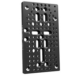 HEDBOX HOLD II - Multi-type hole universal mounting Cheese Plate, 120 various threads 3/8"-16, 1/4"-20, M3, Fly Holes for DSLR Rail system