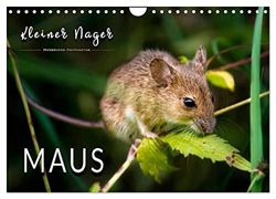Kleiner Nager - Maus (Wandkalender 2024 DIN A4 quer), CALVENDO Monatskalender: Eindrucksvolle Bilder der scheuen Tiere.