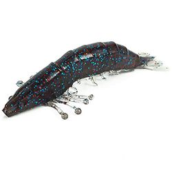 Molix Shrimp 2,5 inch + WT Jig Head 4 g col. Spring Craw