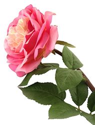 Bloemen Elegance Kunstmatige 92cm Single Stem Volledig Open Ivoor en Roze Getipte Roze Single roze