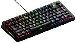 Glorious Gaming GMMK 3 : Clavier Gaming mécanique personnalisé, TKL 75%, Joints modulaires, doubleshot PBT, Plaque de Commutation alu, switches 3-5 Broches (Hot Swap), É.-U.A. QWERTY - Noir